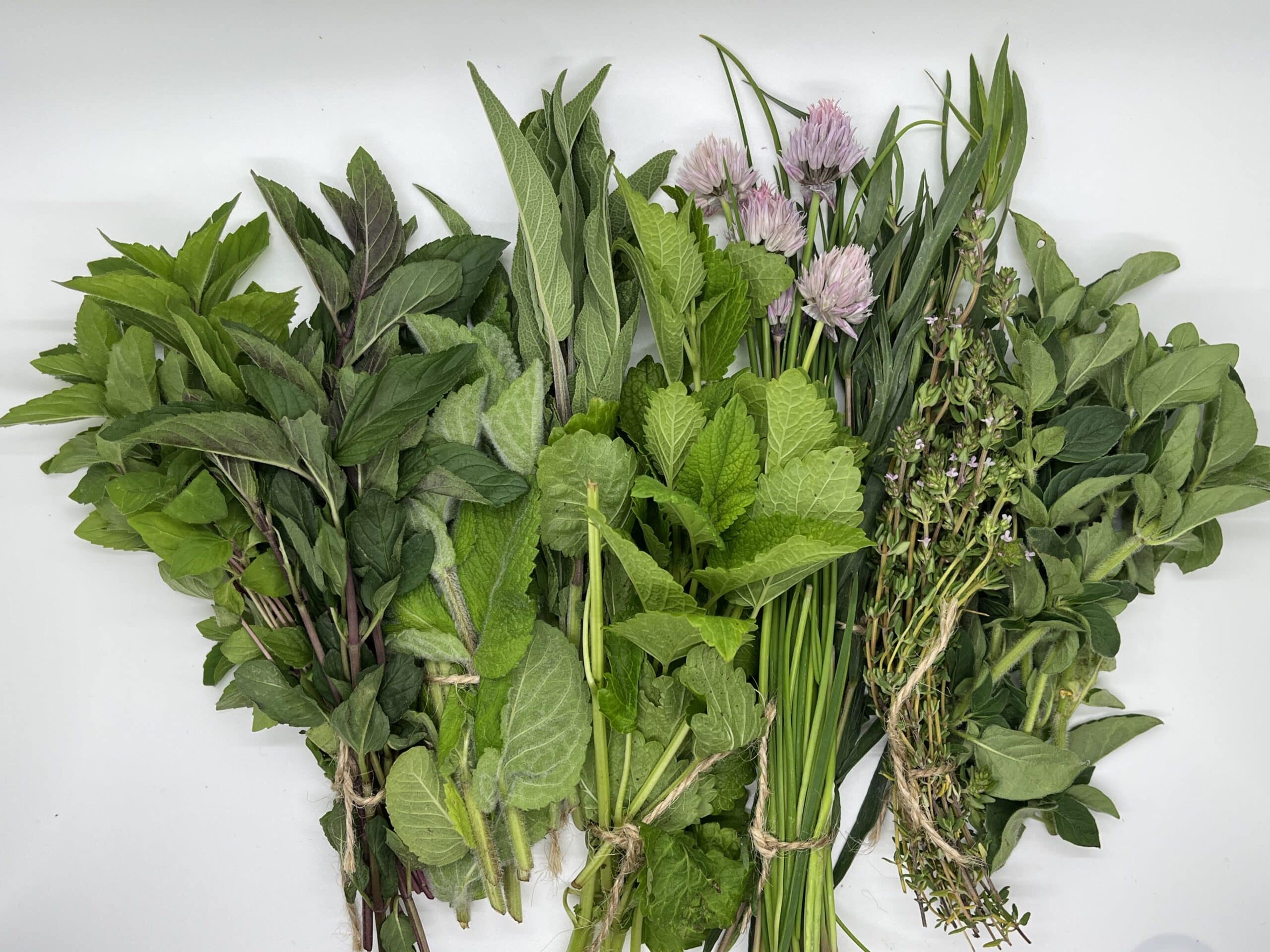Fresh Herbs
