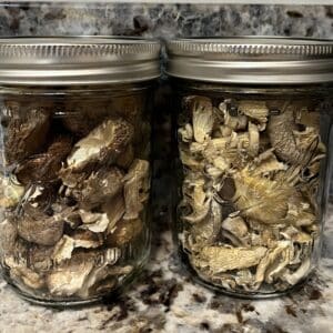 Dried Mushrooms