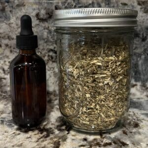 Wormwood Extract